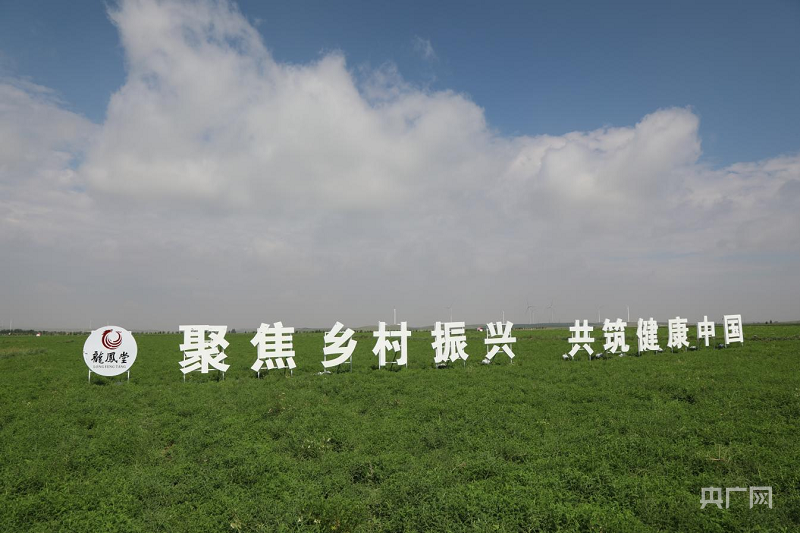 种植国家扶持政策_我国有机种植的政策_国家种植政策