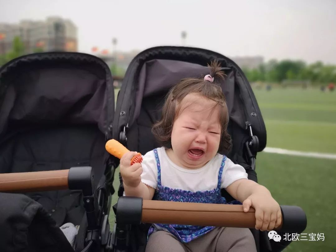 國內(nèi)最好有機(jī)食品品牌_食品機(jī)國內(nèi)品牌好有哪些牌子_中國十大食品機(jī)械品牌