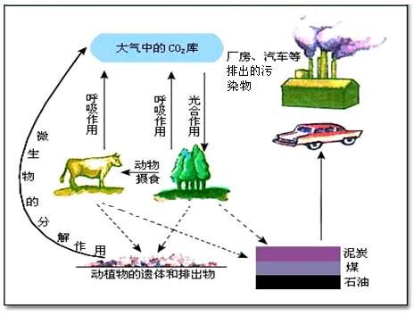 农业概念股有哪些_有机农业概念_农业概念股龙头一览