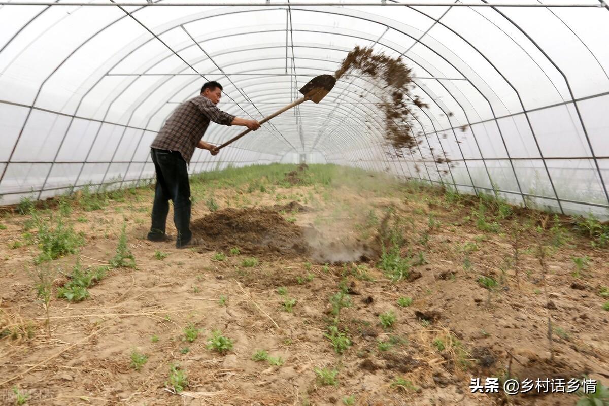 到底什么是有机肥_有机肥制肥机_有机肥机器设备报价