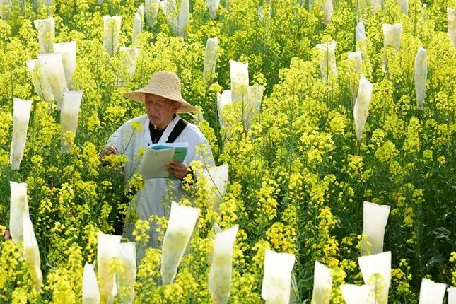 农机产业的快速发展_现状农业机生产发展有哪些问题_有机农业生产的现状与发展