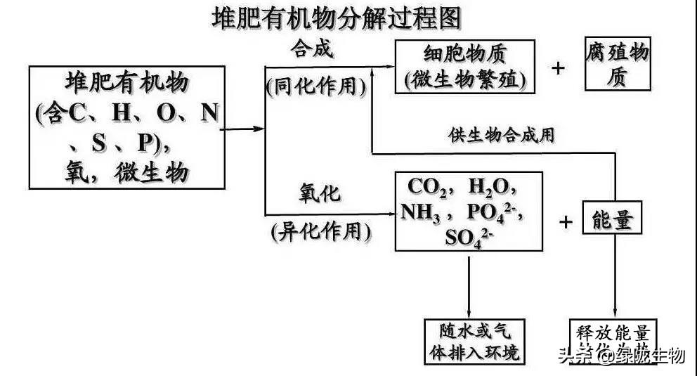 发酵肥机技术有哪几种_有机肥发酵技术_发酵肥的使用方法