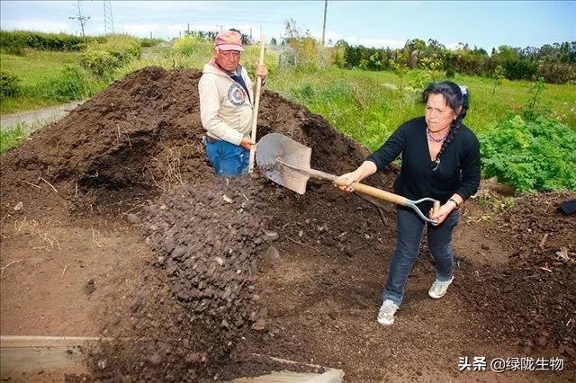 发酵肥机技术有哪几种_发酵肥的使用方法_有机肥发酵技术