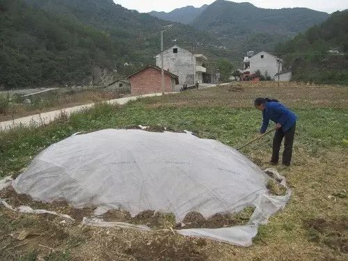 有机肥发酵技术_发酵肥的使用方法_发酵肥机技术有哪几种