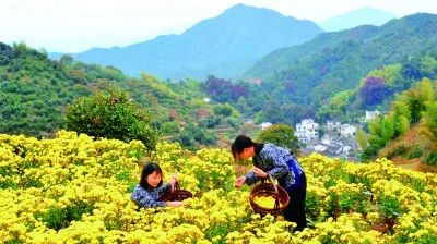 我国农业面临问题_农业面对的问题_有机农业的面临的问题