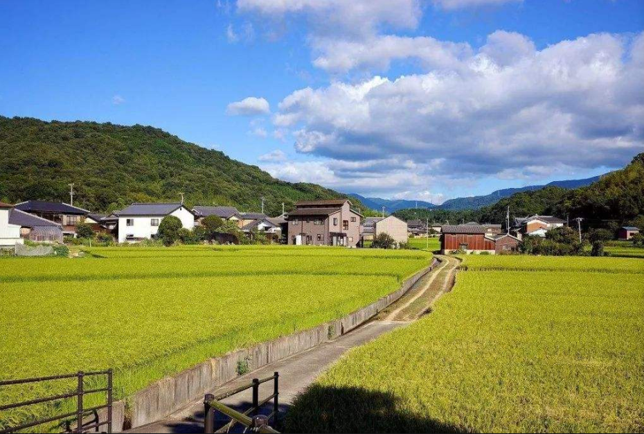 有机农业的面临的问题_我国农业面临问题_农业面临的机遇和挑战