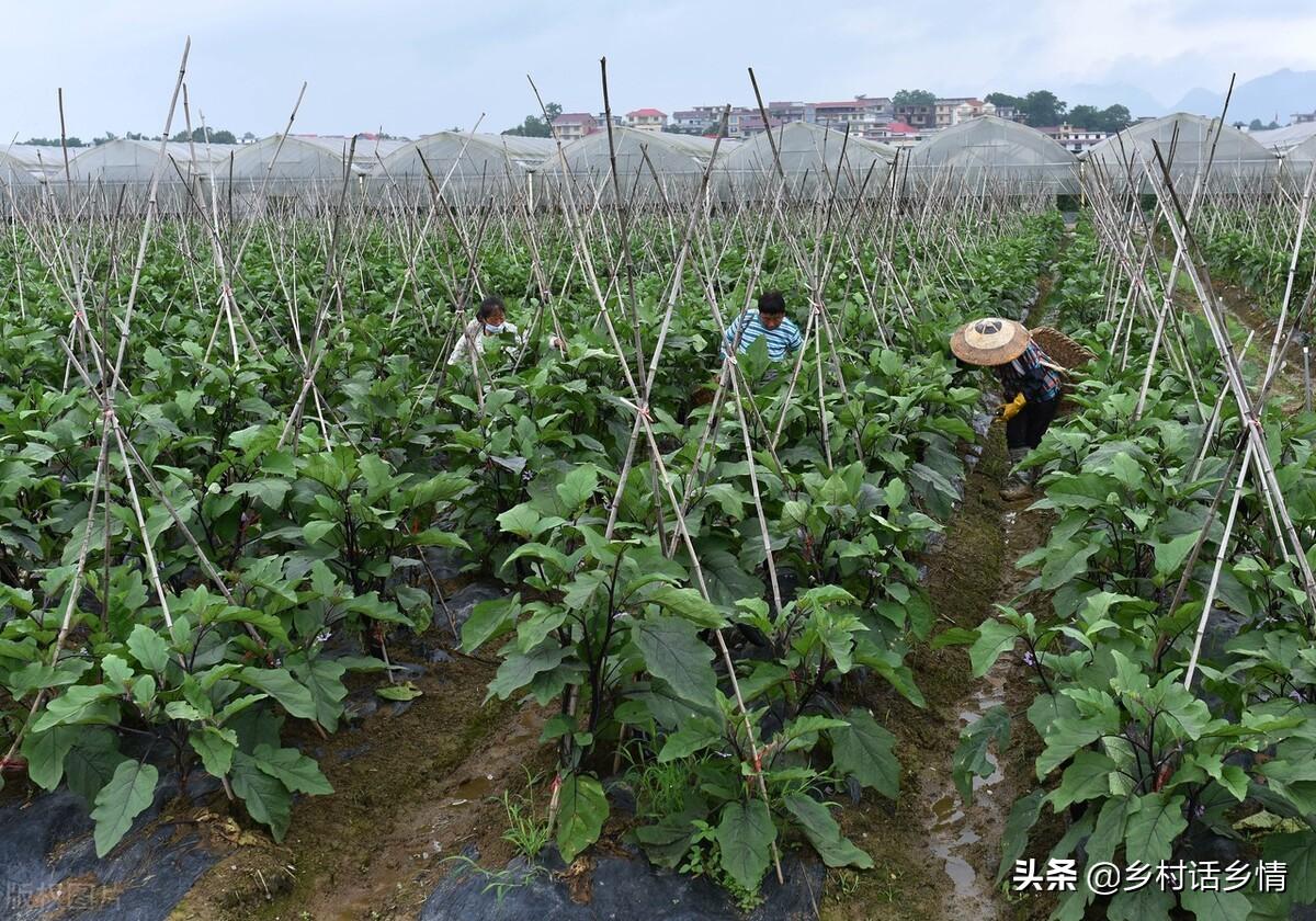 制作農(nóng)家肥機器_自制肥料機器_自制有機肥