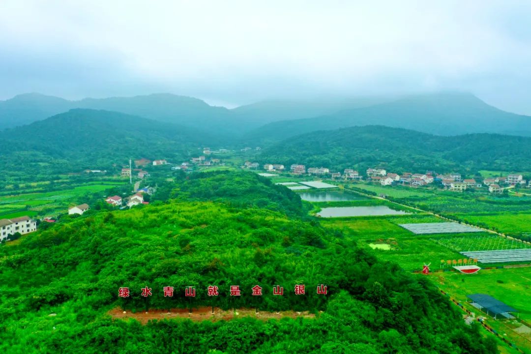 中国有机农业发展现状和前景_前景现状农业机发展中国有哪些_国内农业机械发展现状