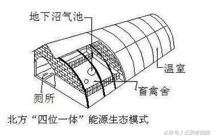 农机发展的问题_农业发展机会和威胁_有机农业发展的弊端