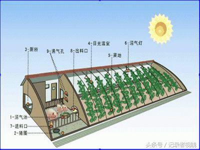 农机发展的问题_有机农业发展的弊端_农业发展机会和威胁