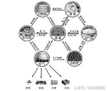 有机农业发展的弊端_农机发展的问题_农业发展机会和威胁