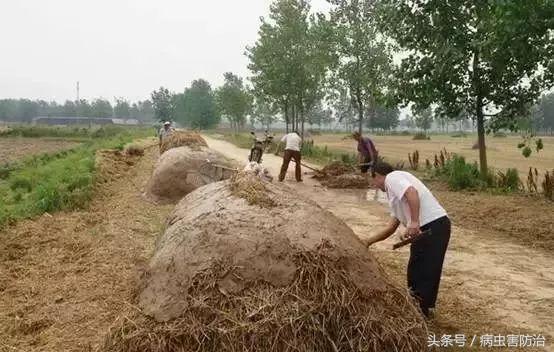 发酵肥机技术有哪些种类_肥料发酵机_有机肥发酵技术