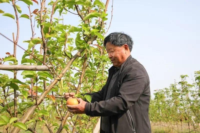 有机农业的痛点_农业机具_有连击点这一特殊机制的职业