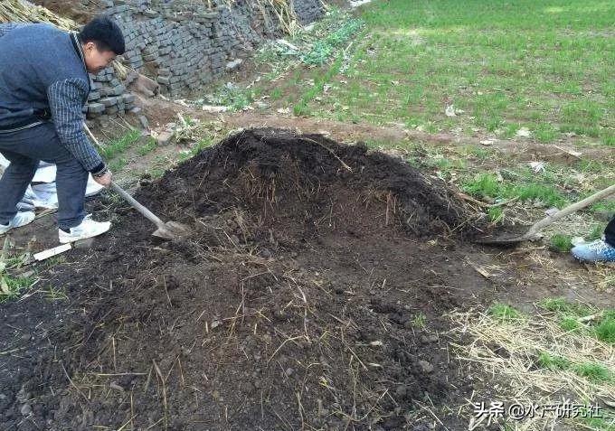 到底什么是有机肥_有机肥机器多少钱一台_有机肥机器设备报价