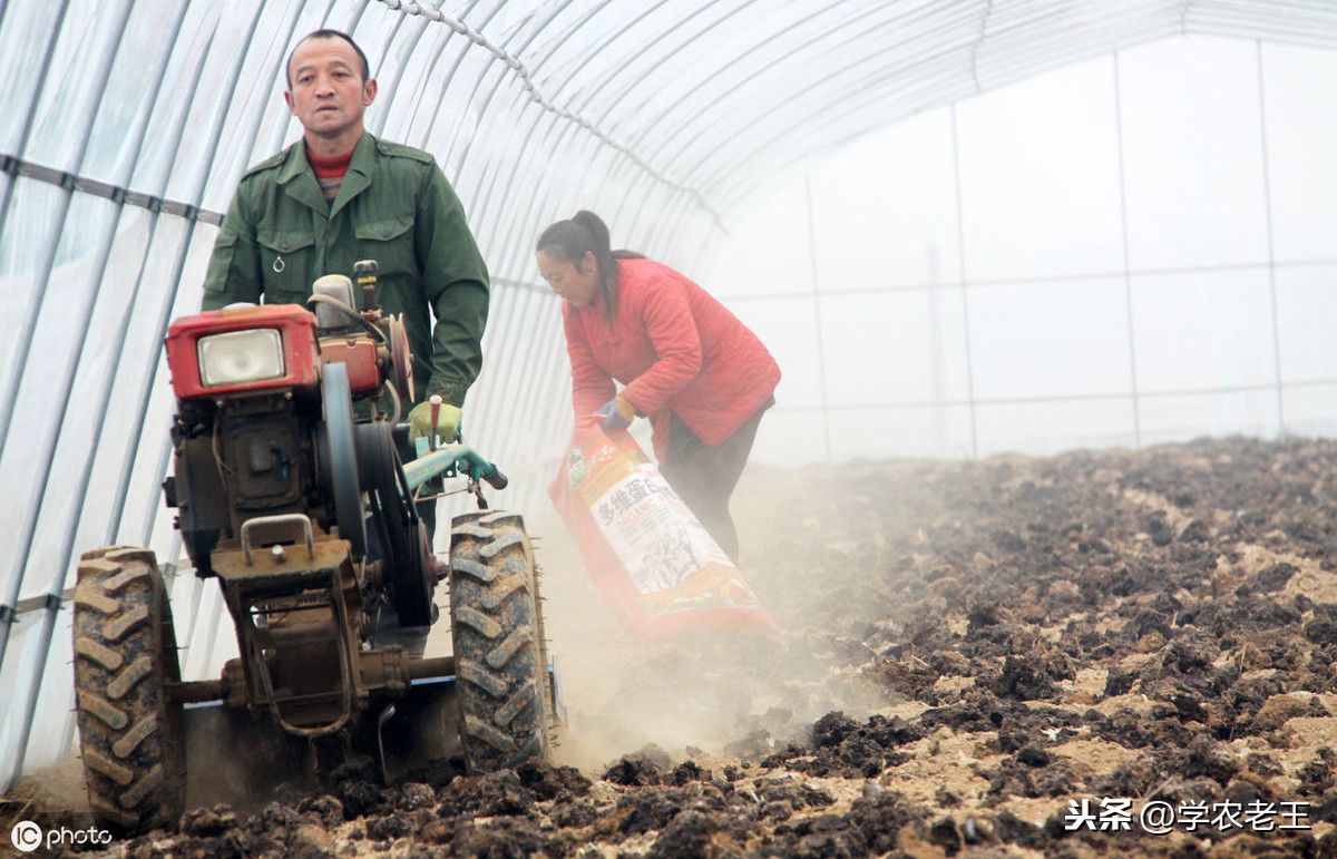 到底什么是有機肥_有機肥機器多少一臺_有機肥機器設備報價