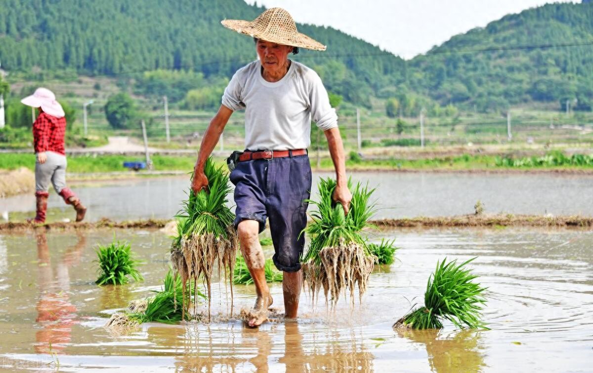 农业概念股龙头一览_农业概念_有机农业概念