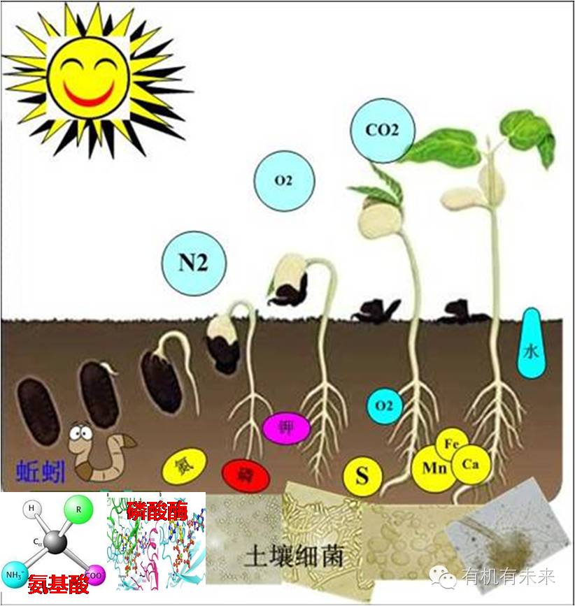 农机对农业的积极影响_农业发展的弊端_有机农业发展的弊端