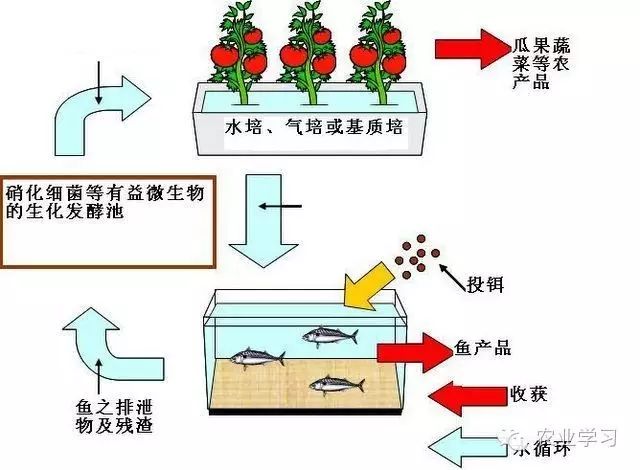 北京有机农业产业联盟_农业产业化联盟_农业产业联盟章程