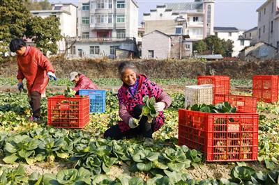 农场机器怎么充电_有机农场_农场里面有什么机器