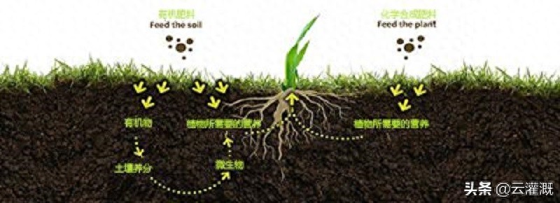 到底什么是有机肥_有机肥制肥机_有机肥机器多少钱一台