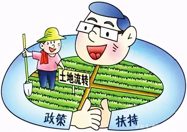 農(nóng)業(yè)上市的公司_我國(guó)農(nóng)業(yè)上市公司_有機(jī)農(nóng)業(yè)上市公司