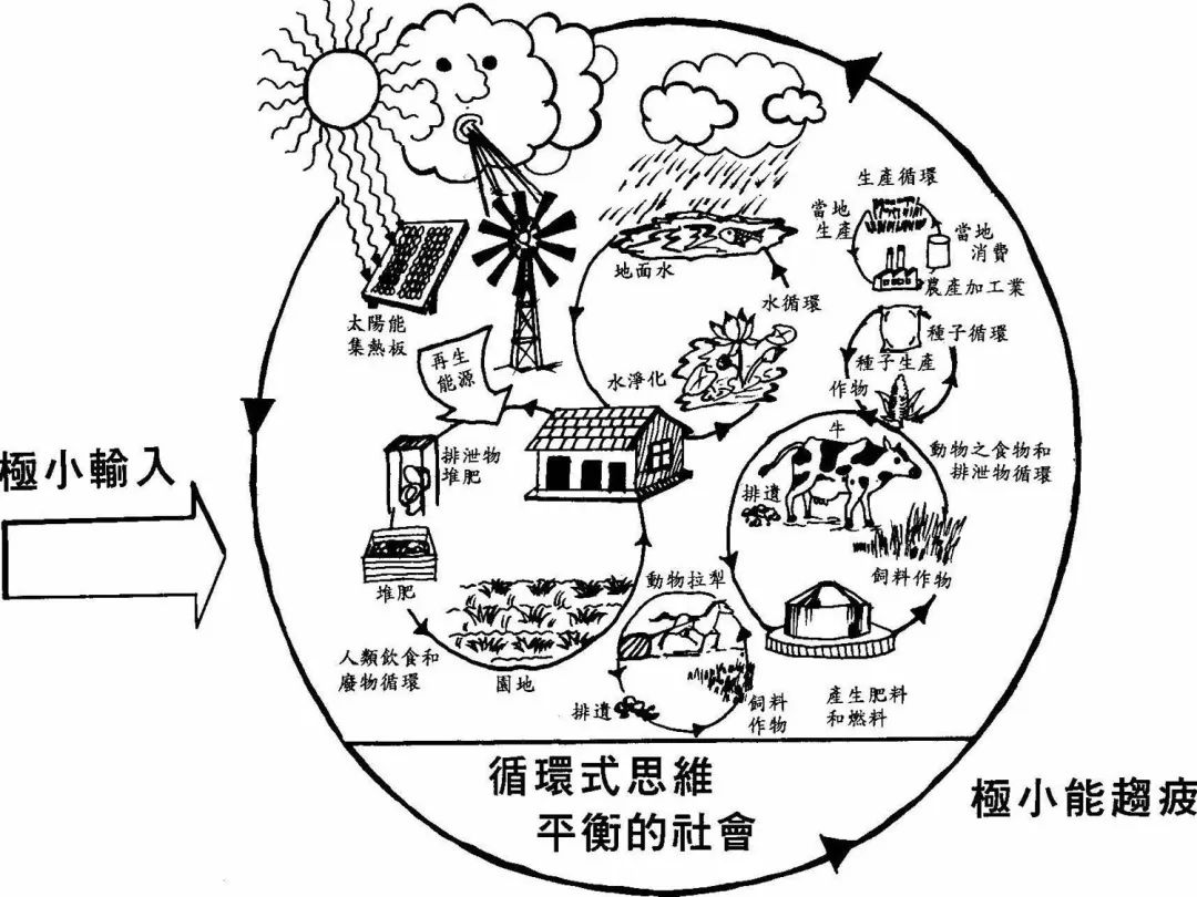 有機食品對人體的好處_有機食品對人體的好處_有機食品對人體的好處