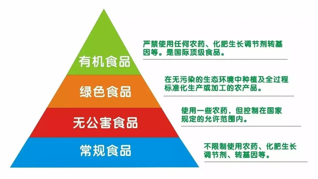 有機食品對人體的好處_有機食品對人體的好處_有機食品對人體的好處