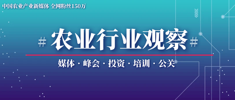 农业的趋势是什么_农业趋势的未来发展_有机农业的未来发展趋势