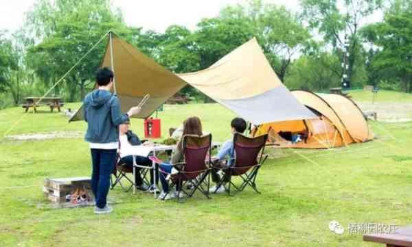 大农场模式能救中国吗_中国最大有机农场_中国大型农场机械视频