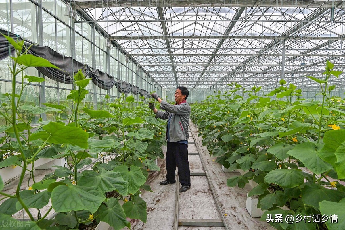 发酵制肥_有机肥发酵技术_肥料发酵机