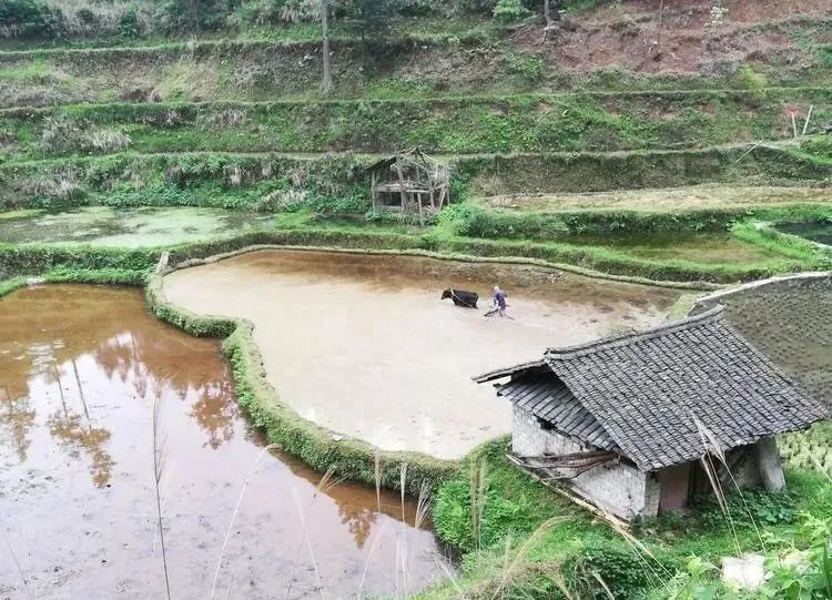 吴育辉与吴世农的关系_有机农业吴世先_辅食机婴儿辅食机 辅食机有用吗