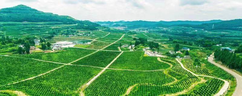 四川西充：剑指“中国有机农业第一县”