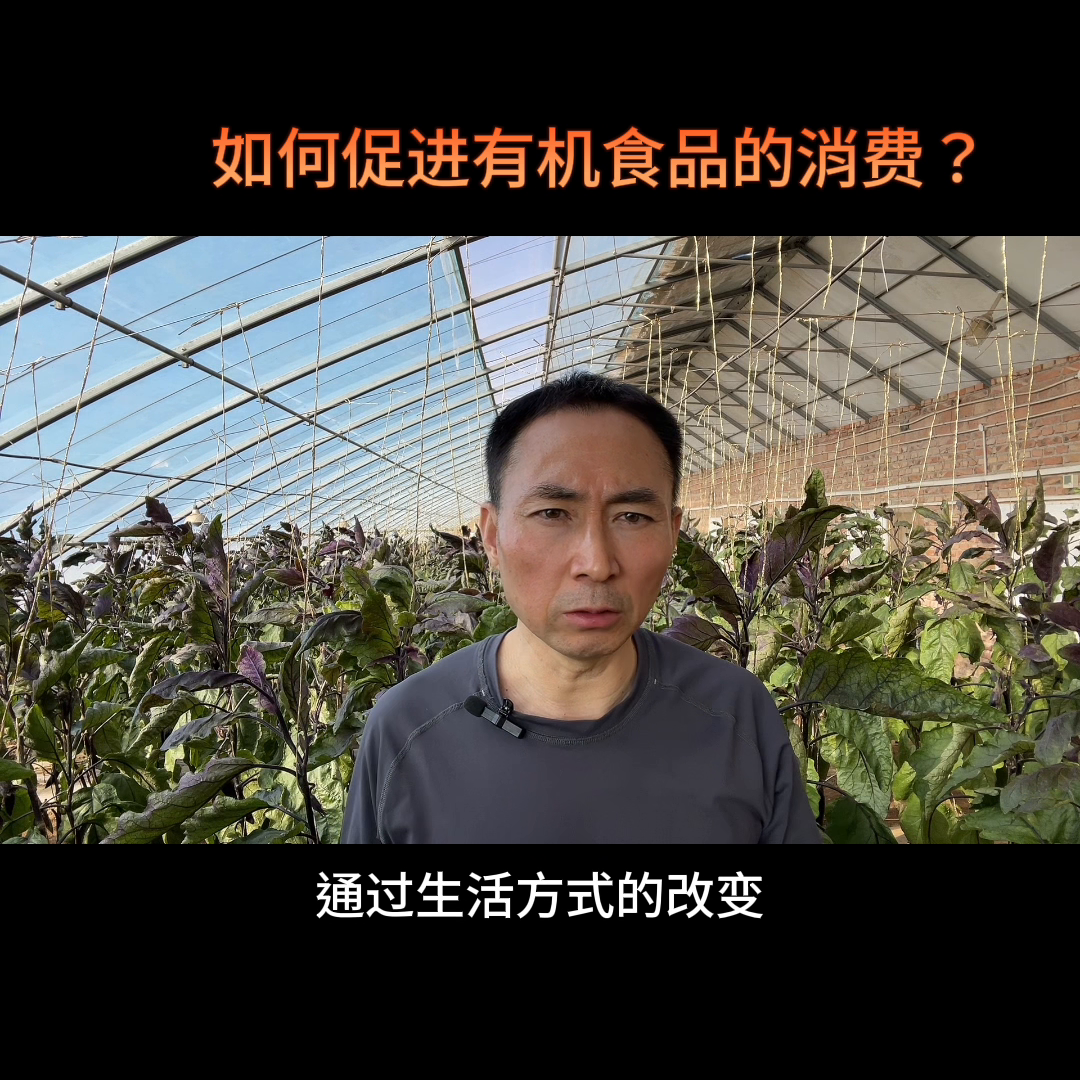 如何促进有机食品的消费？促进消费的措施有哪些？