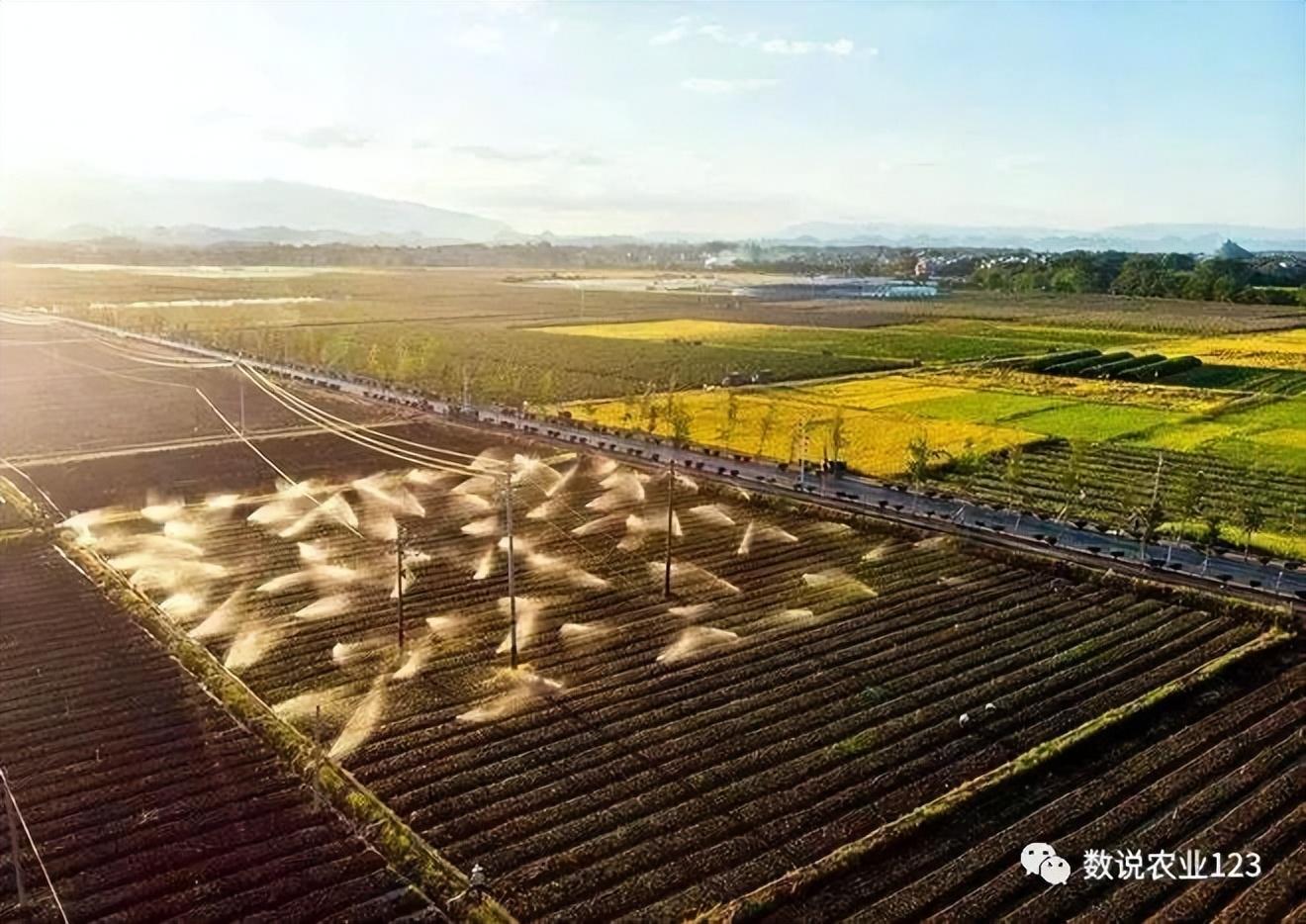 十四五规划下，数字农业如何从盆景变为风景？