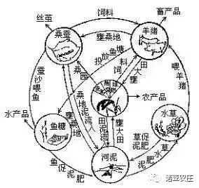 中国古代农书与现代有机农业理念的惊人契合