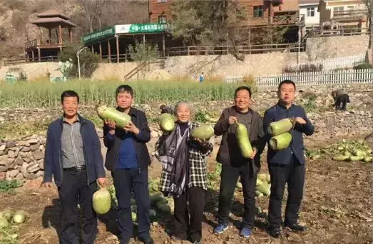 有机农业专家朱安妮_朱安妮个人简介_有机农业专家朱安妮老师简历