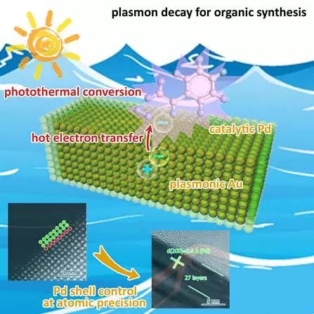 中科大教授设计双金属纳米结构，实现太阳能驱动有机合成性能调控
