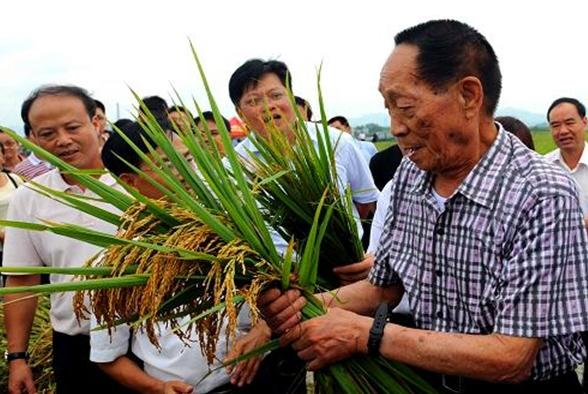 湖北襄阳有机农业斗士：为有机农业事业奋斗十五年